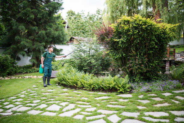Best Insect Control  in North Bellmore, NY