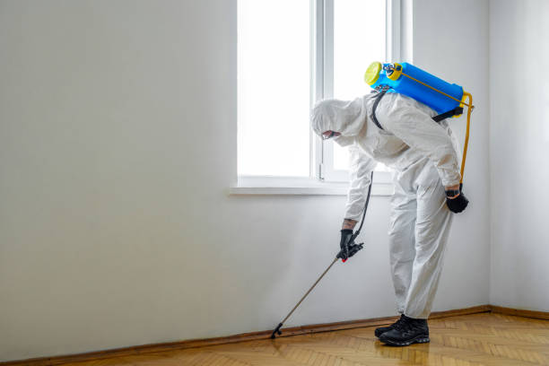 Best Best Pest Control Companies  in North Bellmore, NY