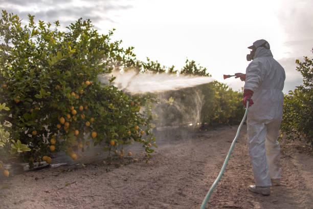 Professional Pest Control in North Bellmore, NY
